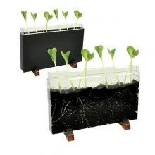 Contenitore Esplora il sottosuolo dim. 30x19x4cm Cwr