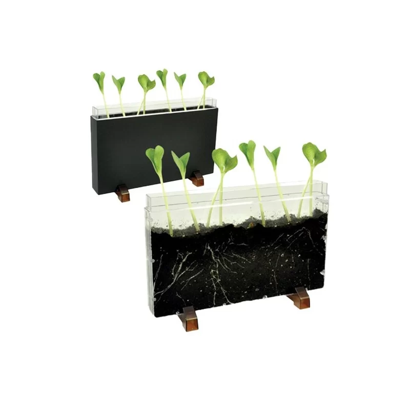 Contenitore Esplora il sottosuolo dim. 30x19x4cm Cwr