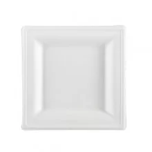 50 Piatti quadrati monouso in canna da zucchero 16x16cm bianco Signor Bio