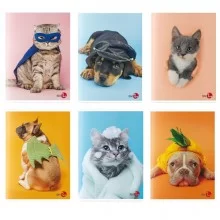 Maxiquaderno A4 40FG+2 80gr rigo di 3a Cute BM (Conf.10) FUORI CATALOGO