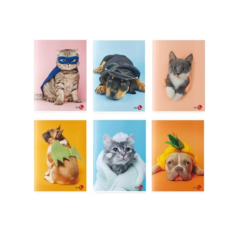 Maxiquaderno A4 40FG+2 80gr rigo di 3a Cute BM (Conf.10) FUORI CATALOGO