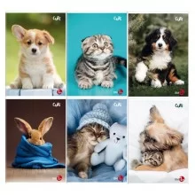 Maxiquaderno A4 40FG+2 80gr 1rigo Cute BM (Conf.10) FUORI CATALOGO