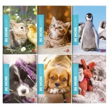 Maxiquaderno A4 36fg+2 100gr rigo di 3a BABY Be More 2024 BM (Conf.10)