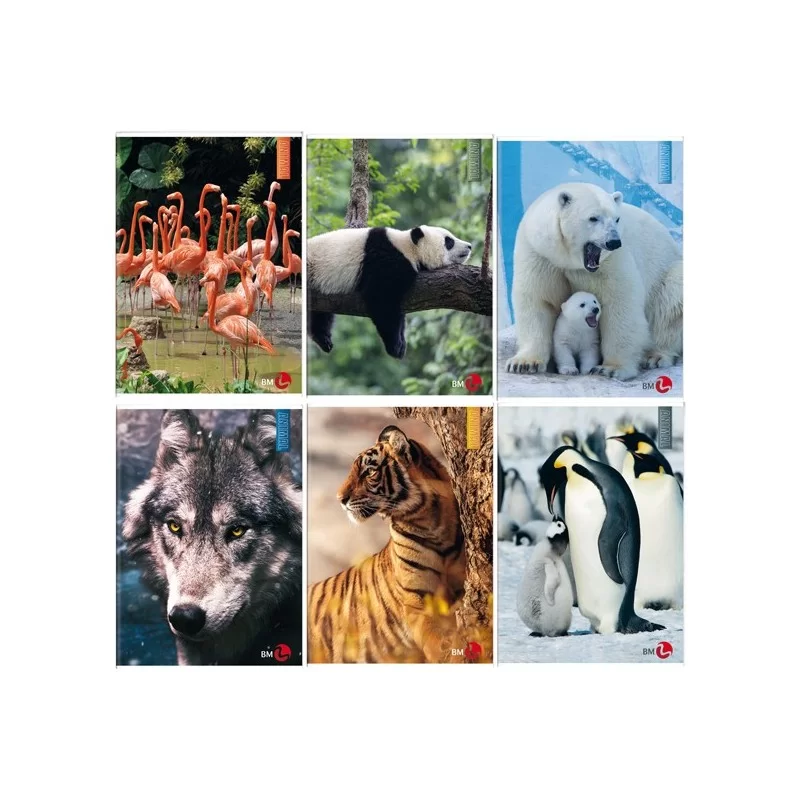 Maxiquaderno A4 40fg+2 80gr 4mm Animal BM (Conf.10) FUORI CATALOGO