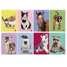 Maxiquaderno A4 80gr 40+2fg rigo di 1a Cuccioli Pigna (Conf.10) FUORI CATALOGO