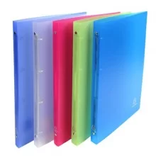 Raccoglitore Ppl trasl.Chromaline 4 anelli 15mm A4 5 col. Ass. 51169E Exacompta (Conf.20)