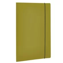 Cartella 3 Lembi HOLOS in PP verde  25x35cm Fellowes