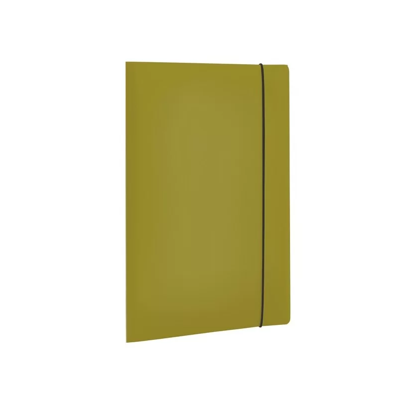 Cartella 3 Lembi HOLOS in PP verde  25x35cm Fellowes