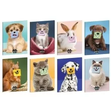 Maxiquaderno A4 20fg+1 80gr rigo di 1a Pets-IT Blasetti (Conf.10) FUORI CATALOGO