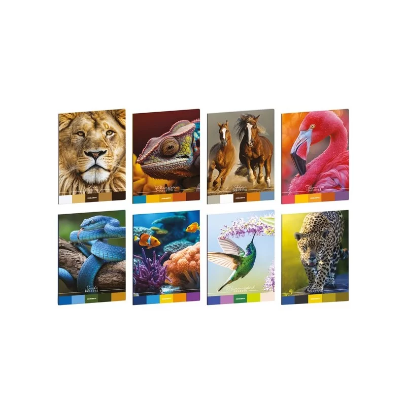 Maxiquaderno A4 20fg+1 80gr rigo di 1a Animal Palette Blasetti (Conf.10) FUORI CATALOGO