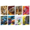 Maxiquaderno A4 20fg+1 80gr 10mm Animal Palette Blasetti (Conf.10) FUORI CATALOGO