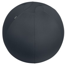 Palla Ergo Active da Seduta Anti Rotolamento 65cm grigio scuro Leitz