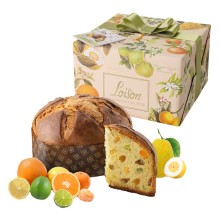 Panettone 5 agrumi Linea Frutta e Fiori 500gr Loison (Conf.6) FUORI CATALOGO
