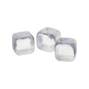 Conf 10 cubetti refrigeranti riutilizzabili 4,5x4,5cm trasparente Leone