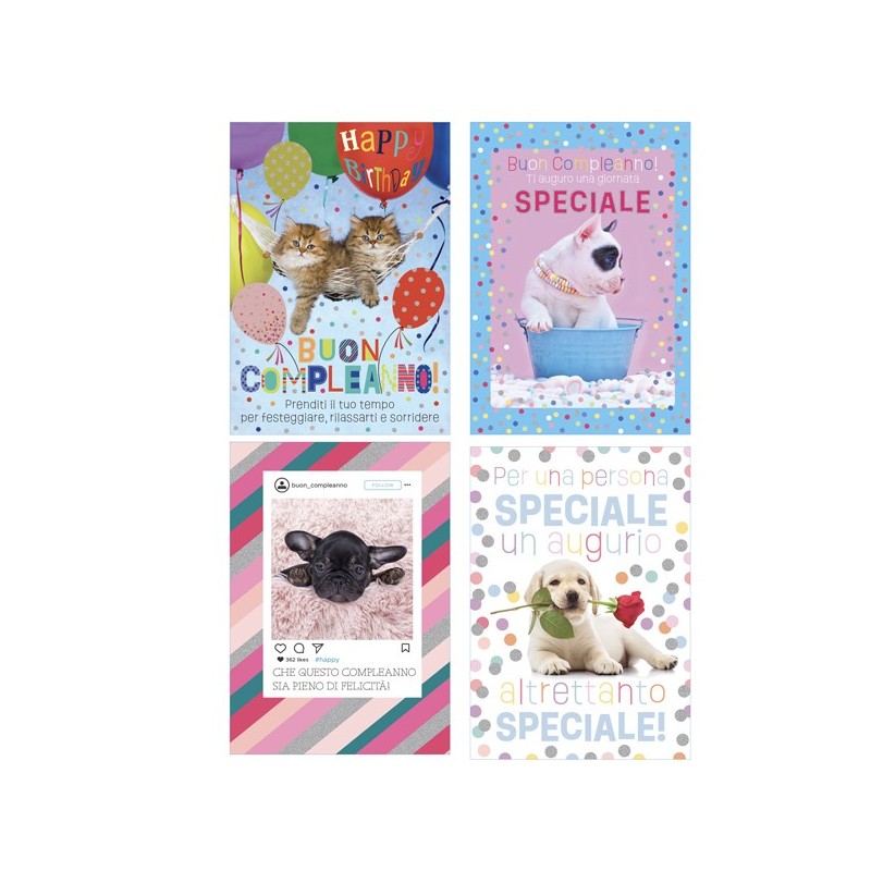 Biglietto Cani e Gatti fotografici fantasie assortite Rex Sadoch (Conf.12)