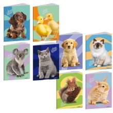 Maxiquaderno A4 20fg+1 80gr 5mm c/margine Best Friends Blasetti (Conf.10)