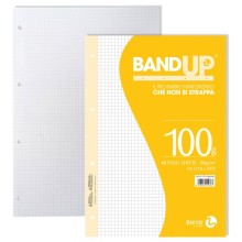 Ricambi forati rinforzati BandUP A4 100gr 40fg 5mm BM