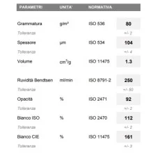 Bancale Carta per fotocopie A4 Burgo Repro Blu A4 - Premium Quality 80 gr bianca Risma 500 fogli (Pallet 240 risme)