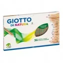 ASTUCCIO 36 PASTELLI GIOTTO DI NATURA