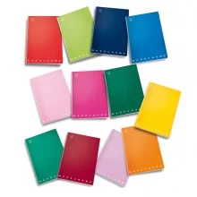 MAXIQUADERNO A4 40fg+2 80gr 1rigo MONOCROMO PIGNA (Conf.10)