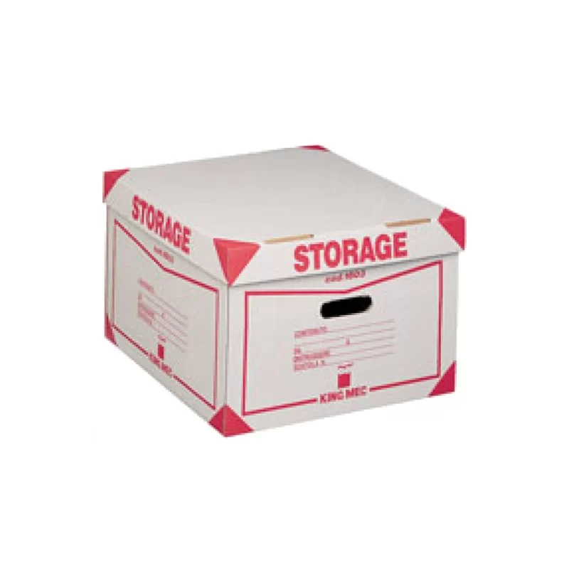 Contenitore STORAGE con coperchio (1603) 385x264x397mm REXEL (Conf.12)