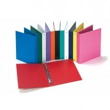 Raccoglitore Europa 4010 22x30mm 4R dorso 30 col. assortiti Favorit (Conf.24)