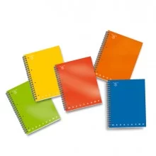 MAXIQUADERNO A4 SPIRALATO c/fori 80gr 100fg 5mm MONOCROMO PIGNA (Conf.5)