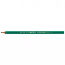 SCATOLA 12 MATITE ECOlutions™Evolution™ Graphite 650 HB BIC®