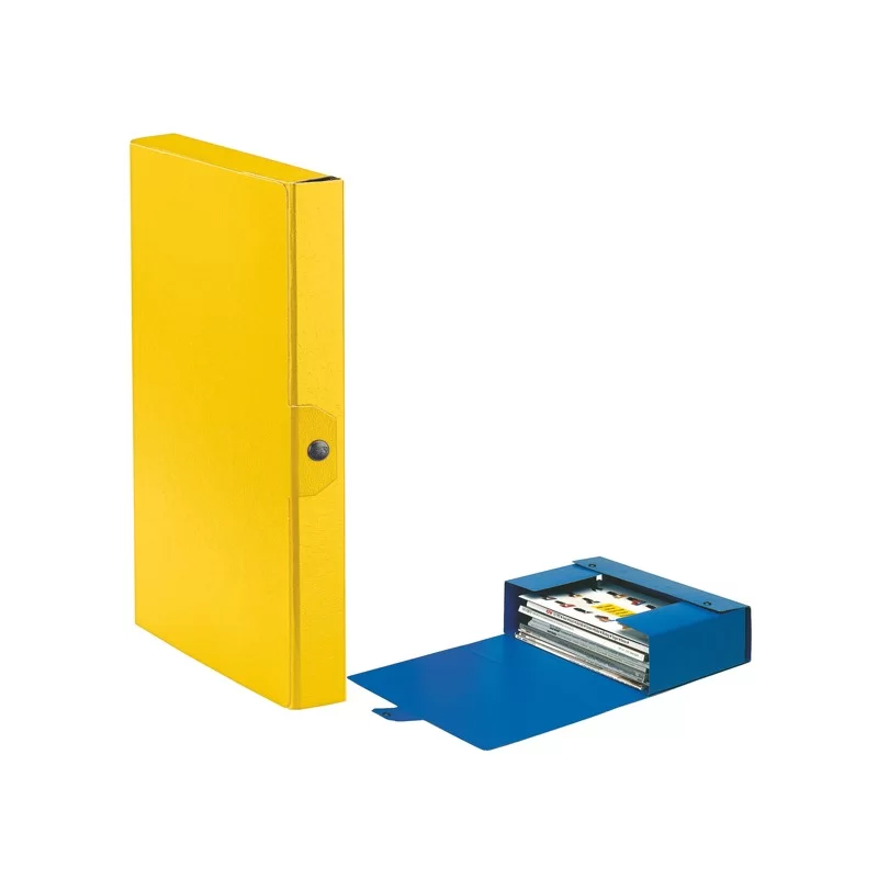 Scatola progetto C24 25x35cm dorso 4 giallo ESSELTE (Conf.5)