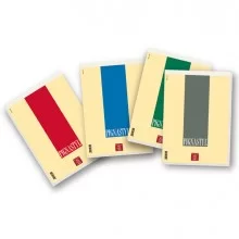 BLOCCO PIGNASTYL 210X297MM 5MM 70FG 80GR A4 PIGNA (Conf.10)