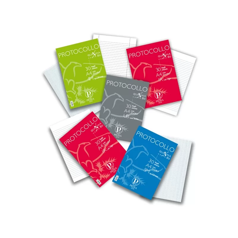 PROTOCOLLO A4 4MM 200FG 80GR PIGNA