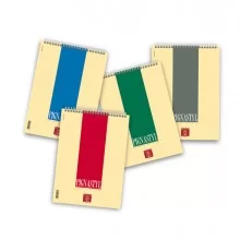 BLOCCO PIGNASTYL SPIRALE A4 210X297MM 5M 60FG 80GR PIGNA (Conf.10)