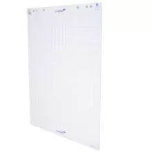 BLOCCO PER LAVAGNA 20FG 65X98CM QUADRETTI LEGAMASTER (Conf.5)