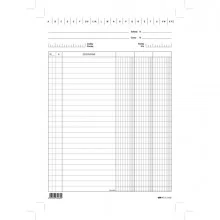 100 SCHEDE 3 COLONNE VERTICALE 24X17CM E3406 EDIPRO