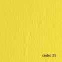 BLISTER 10FG CARTONCINO 70X100 220GR CEDRO 125 FABRIANO ELLE ERRE