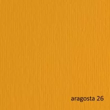 BLISTER 10FG CARTONCINO 70X100 220GR ARAGOSTA 126 FABRIANO ELLE ERRE