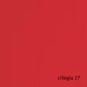 BLISTER 10FG CARTONCINO 70X100 220GR CILIEGIA 127 FABRIANO ELLE ERRE