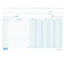 100 SCHEDE DARE/AVERE/SALDO/IVA 17x24CM ORIZZ. E3379 Edipro