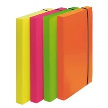 CARTELLA PROGETTO D.3cm CON ELASTICO COLORI FLUO SHOCKING FILE (Conf.4)