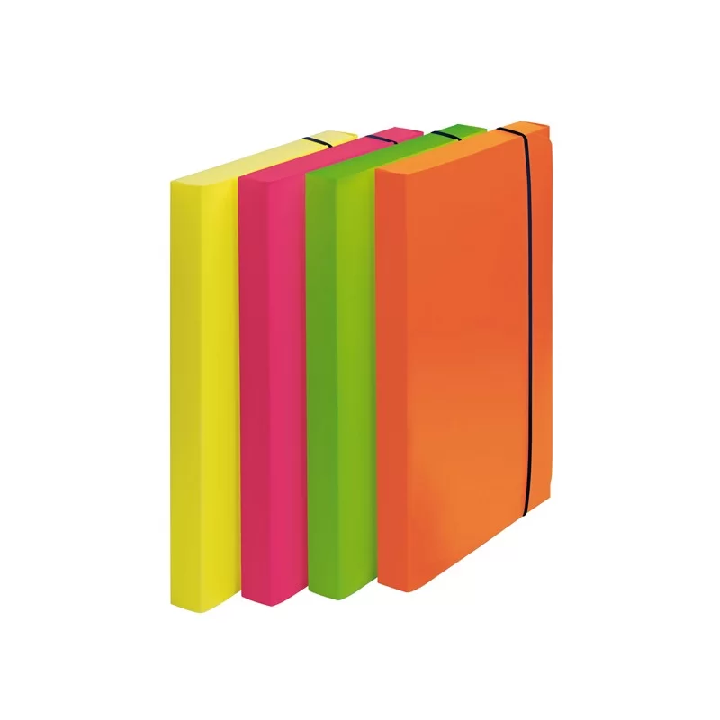 CARTELLA PROGETTO D.3cm CON ELASTICO COLORI FLUO SHOCKING FILE (Conf.4)
