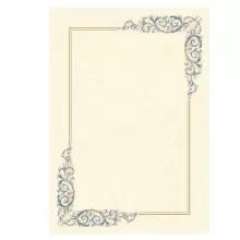 BLISTER 10 DIPLOMI PERGAMENA 210x297mm 160gr 14-6281 KARTOS FUORI CATALOGO