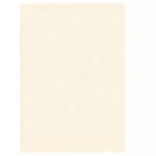 BLISTER 10 DIPLOMI PERGAMENA 297x420mm 160gr neutro avorio KARTOS FUORI CATALOGO