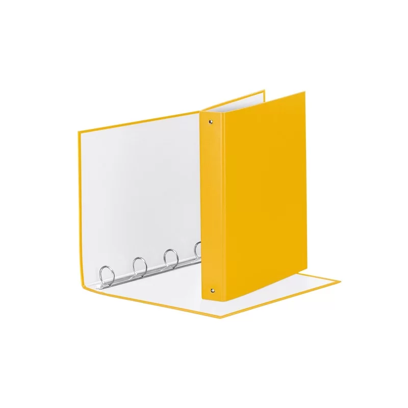 RACCOGLITORE Meeting 30 A4 4R IN PPL Giallo Esselte