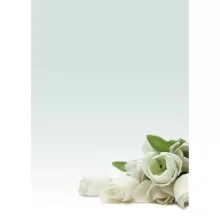 CARTA CON STAMPA "ROSA BIANCA'" A4 90GR 20FG DECADRY
