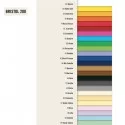 Conf.10 cartoncino Bristol Color 200gr 100x70cm nero 63 Favini