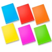 Maxiquaderno A4 80gr 40+2fg 5mm c/margine Fluo Monocromo Pigna (Conf.10)