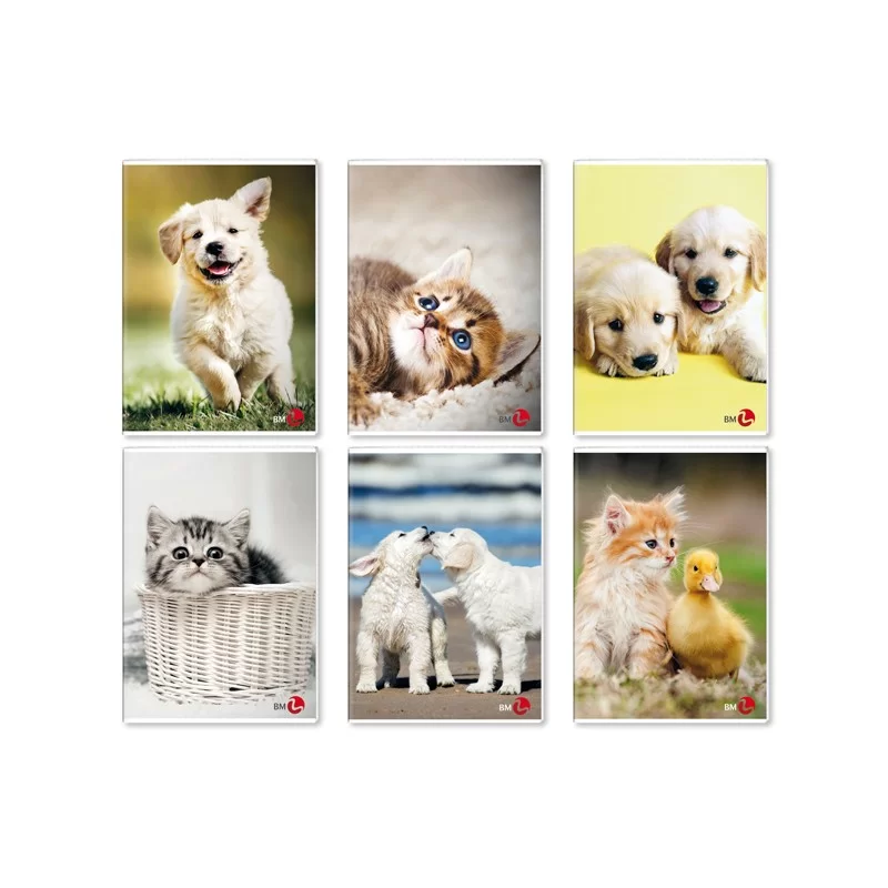 Maxiquaderno A4 40FG+2 80gr 1 rigo c/margine Cute BM (Conf.10) FUORI CATALOGO