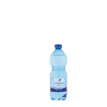 Acqua frizzante bottiglia PET 500ml San Benedetto (Conf.24)