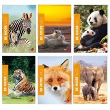 Maxiquaderno A4 36fg+2 100gr 4mm c/margine WILD Be More BM (Conf.10)