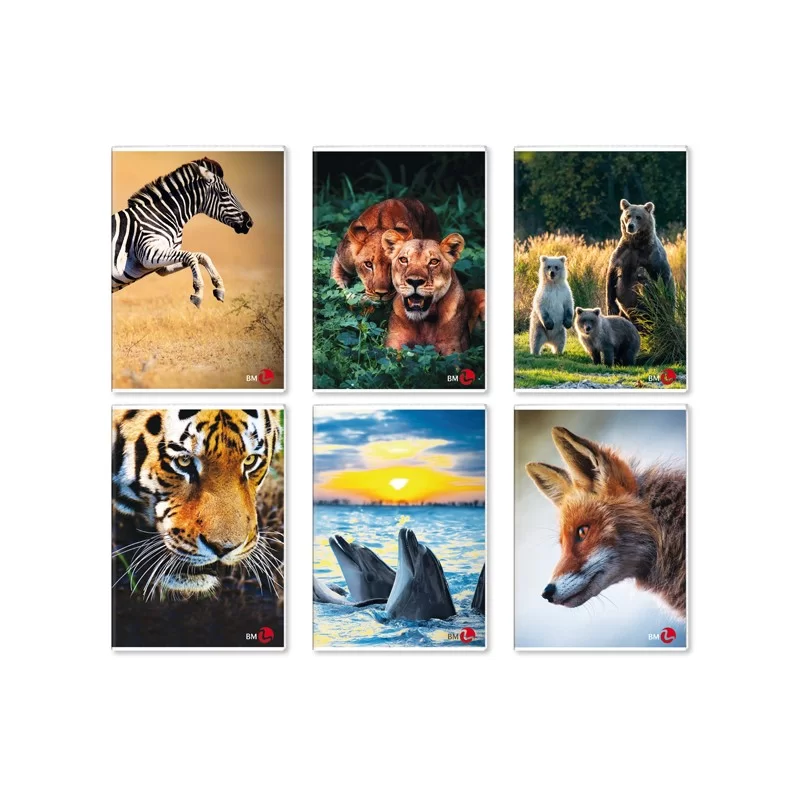 Maxiquaderno A4 40fg+2 80gr rigo di 1a Animal BM (Conf.10) FUORI CATALOGO